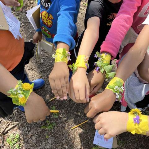 children holding arms into a circle to show their wrist bands made from wildflowers