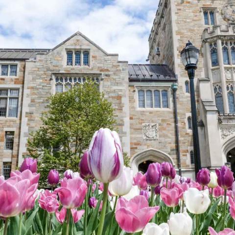 A photo of the Thompson Memorial Library, a large gothic stone building with tall windows and a turret. In the foreground are brightly colored flowers.