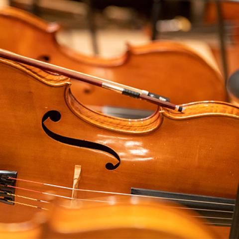 Closeup of cellos lying on their sides.