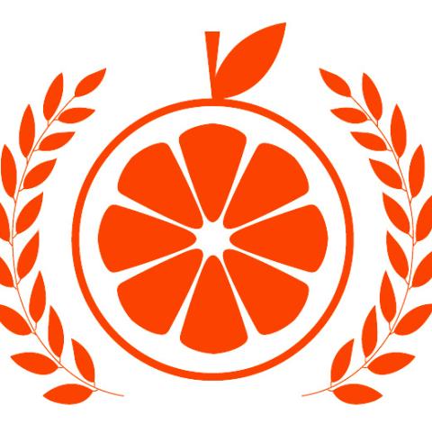 Orlando Film Festival. Graphic image of the cross-section of an orange.