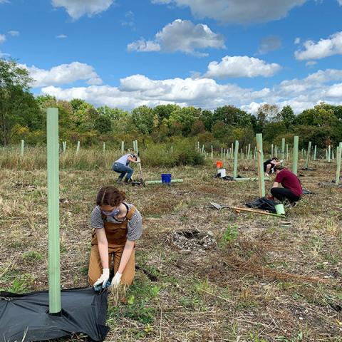 A group of volunteers planting trees on the Preserve at Vassar.