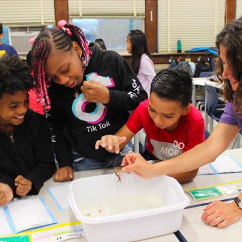 Jennifer Rubbo shows a crayfish to three elementary school students as they all gather around a table.