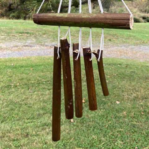 A windchime made using Japanese Knotweed hanging from a tree on the preserve at Vassar.