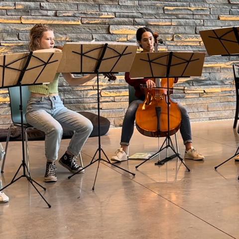 A string and wind ensemble performing, seated.