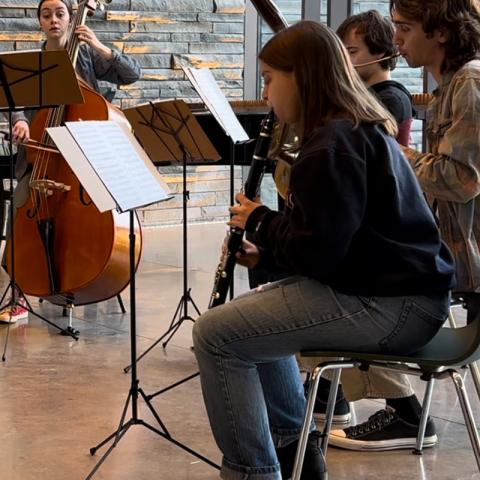 A string and wind ensemble performing, seated, with a clarinetist in the foreground.