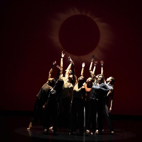 Nine dancers grouped with arms raised in a pose as if they were reaching for and facing the sun.