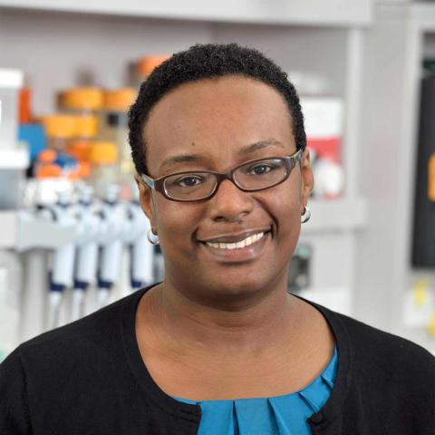 A portrait photo of Beronda L. Montgomery, PhD the VP for Academic Affairs and Dean of Grinnell College.