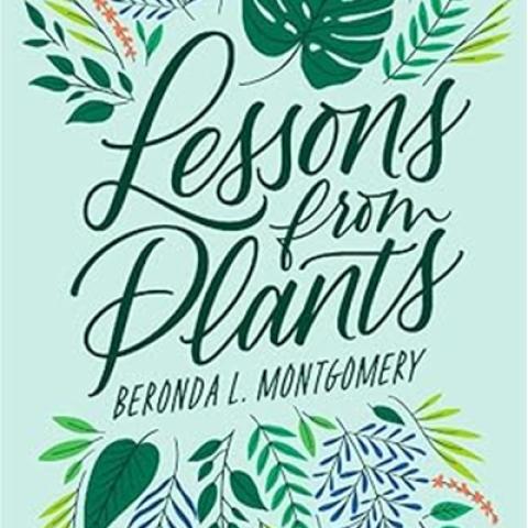 A book cover that has the words "Lessons from Plants", Beronda L. Mongomery surrounded by drawings of leaves and ferns.