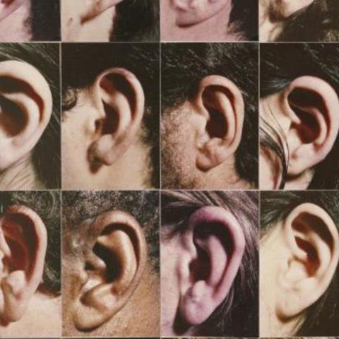 Collage of human ears. 