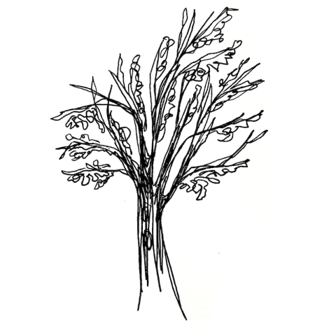 Illustration of a tree in black on white background.