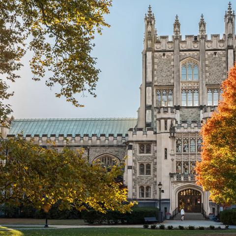 Gothic-style stone building on the Vassar campus framed by autumn trees with sunlight streaming through the leaves.