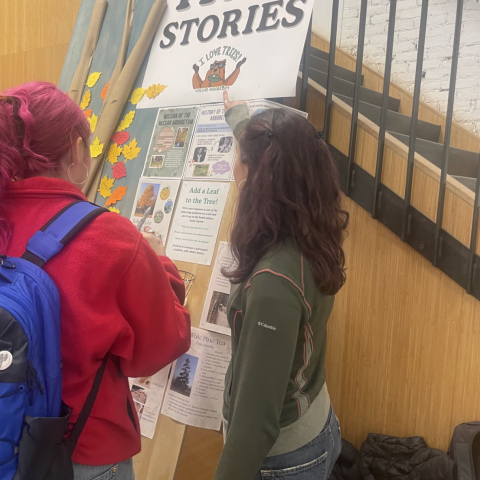 A large poster titled "Tree Stories" is displayed prominently, featuring images of leaves and tree-related information. Two individuals are engaged with the poster, one wearing a bright red jacket and the other in a green and gray outfit. The background consists of wooden paneling, and the space is illuminated by soft, natural light. Various leaf cutouts are attached to the board, along with printed materials discussing tree history and a local tree museum.