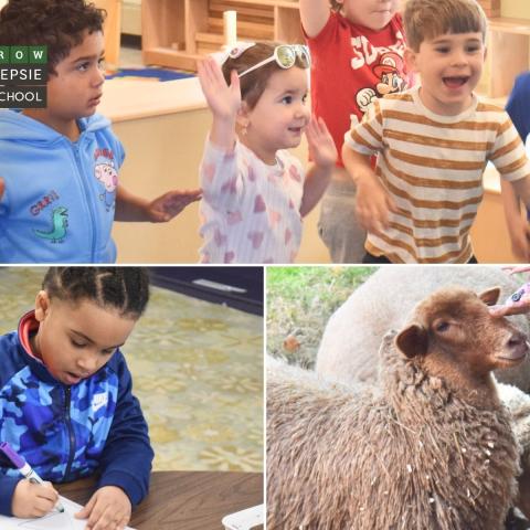 Young children participating in classroom activities, including movement, creative work, and interaction with animals in an early learning environment.