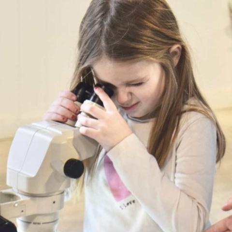 A child with long brown hair and a white shirt looks through a microscope.