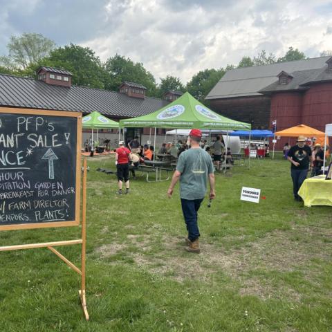 A photo of a person walking through an open air market.