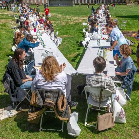 Large group of people seated at a "V" shaped table on a lawn.