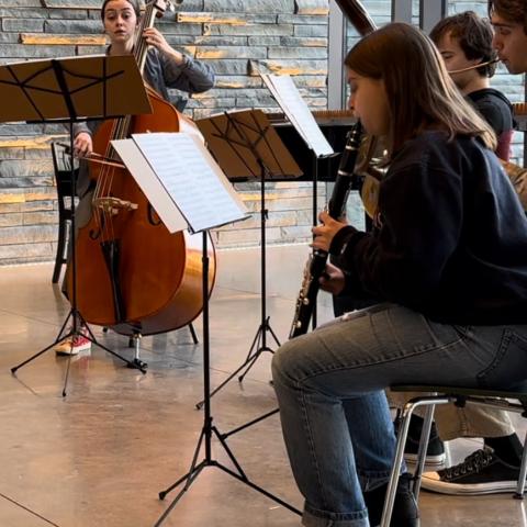Student musicians perform on clarinet, double bass and other instruments during Music on the Bridge.