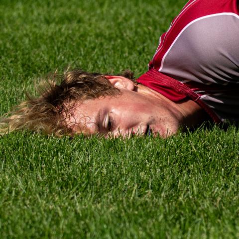 A rugby player lying face first in the grass