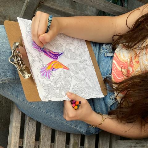 Person coloring a floral and bird design with markers.