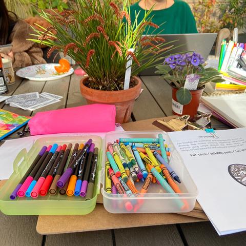 Art supplies, coloring pages, and potted plants arranged on a table during a greenhouse activity.