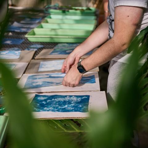 Detail of a table with pages of blue images with someone in the center placing one down on the table.