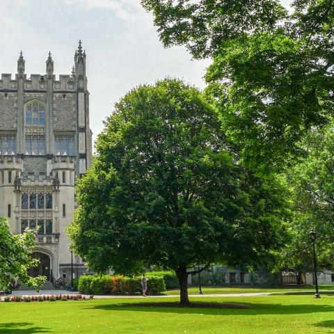 Building nestled among trees behind a large green lawn on a sunny day.