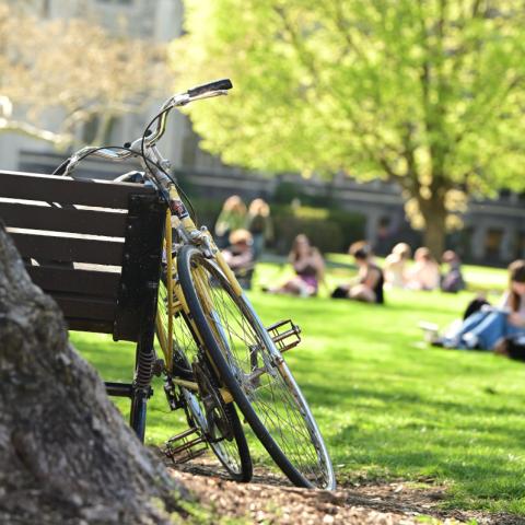 A yellow bicycle rests against a wooden bench beside a tree trunk. In the blurred background, several people sit on a sunlit green campus lawn beneath leafy trees.