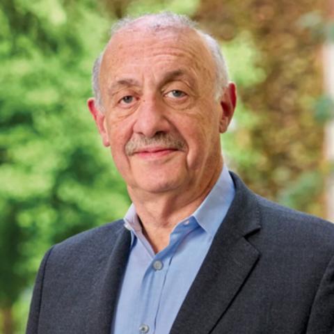 Samuel Issacharoff with grey-white hair, a light grey mustache, and a slight smile and wearing a grey tweed-patterned blazer over a light blue collared shirt. The background is a gently blurred green and brown park setting with tree foliage.