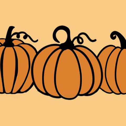 Some orange illustrated pumpkins on an orange background.