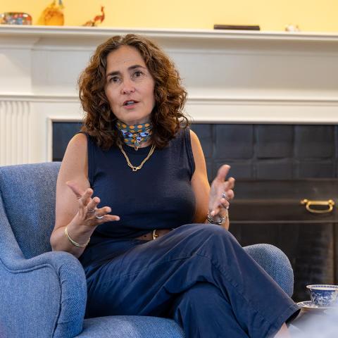 a person sitting in an armchair speaks while gesturing with her hands.