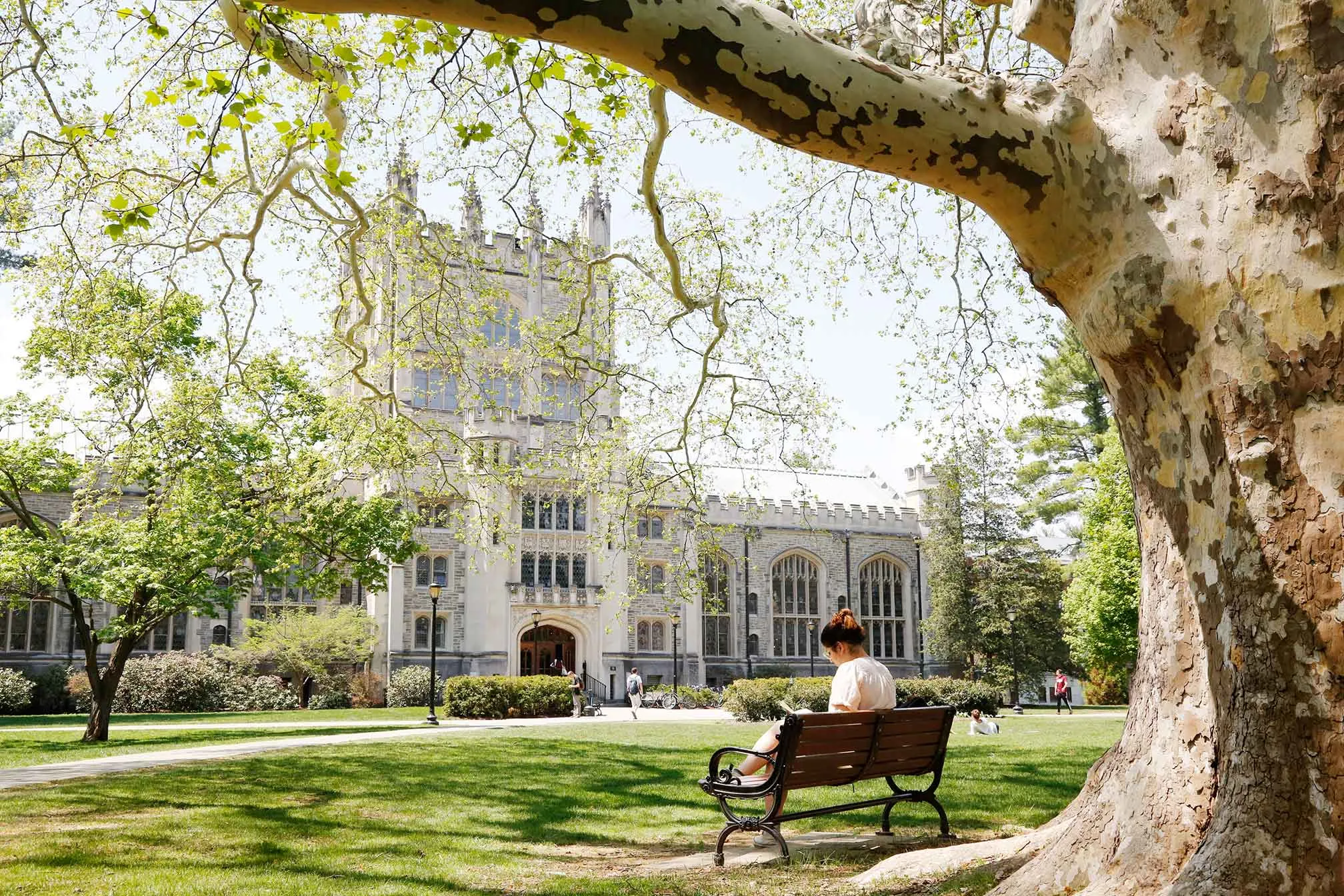Student sitting on bench reading on campus